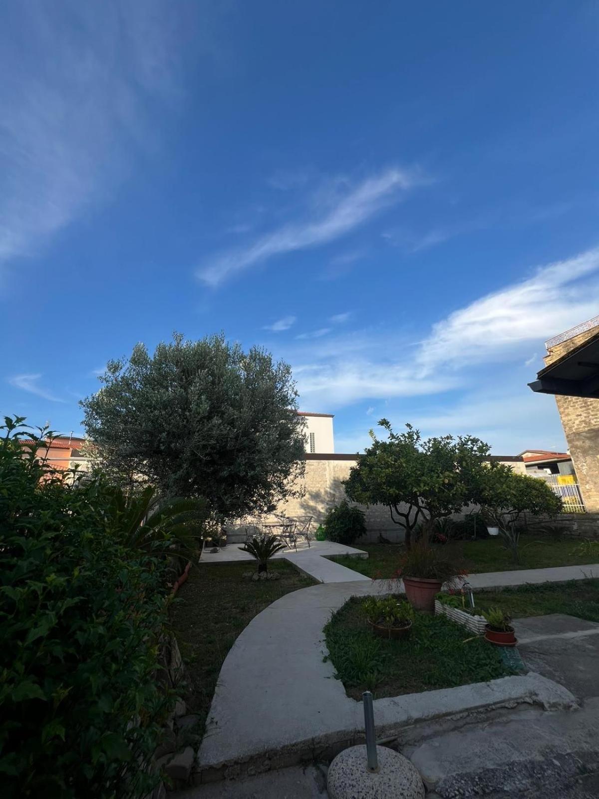 Cycas Villa Cellole Exterior photo