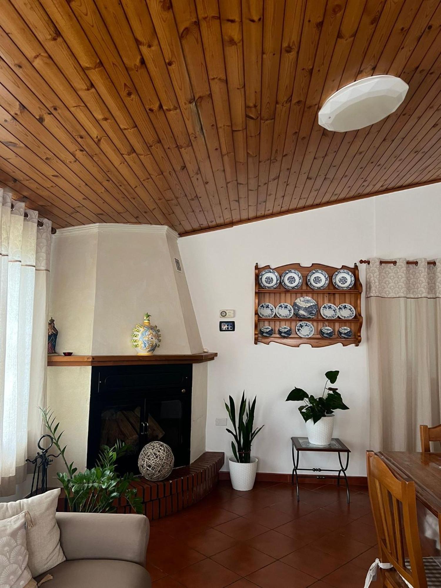 Cycas Villa Cellole Exterior photo
