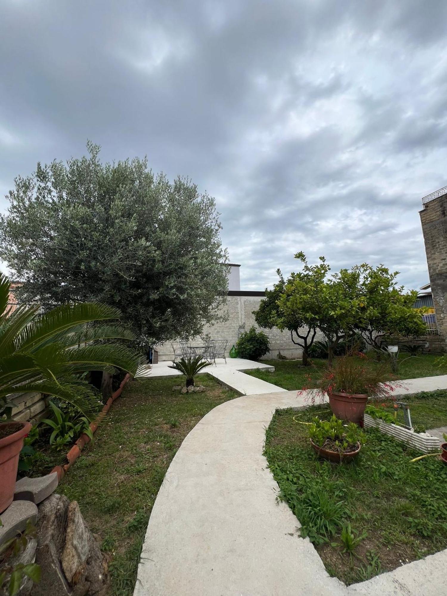Cycas Villa Cellole Exterior photo